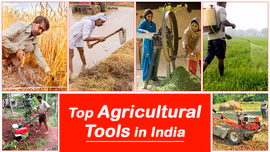 Top Agricultural Tools in India for Your Farming Needs