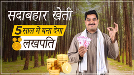 Evergreen Profitable Farming: केवल 5 वर्ष का इंतज़ार और लाखों की आमदनी, क्या करना चाहेंगे ऐसी खेती?