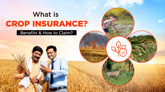 What is Crop Insurance – Benefits & How to Claim?