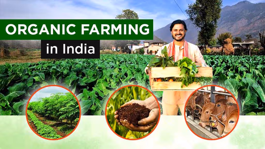 Organic Farming in India - Meaning, Types and Benefits Article