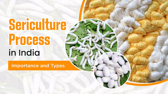Sericulture Process in India: Importance and Types