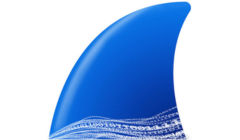 Wireshark Logo