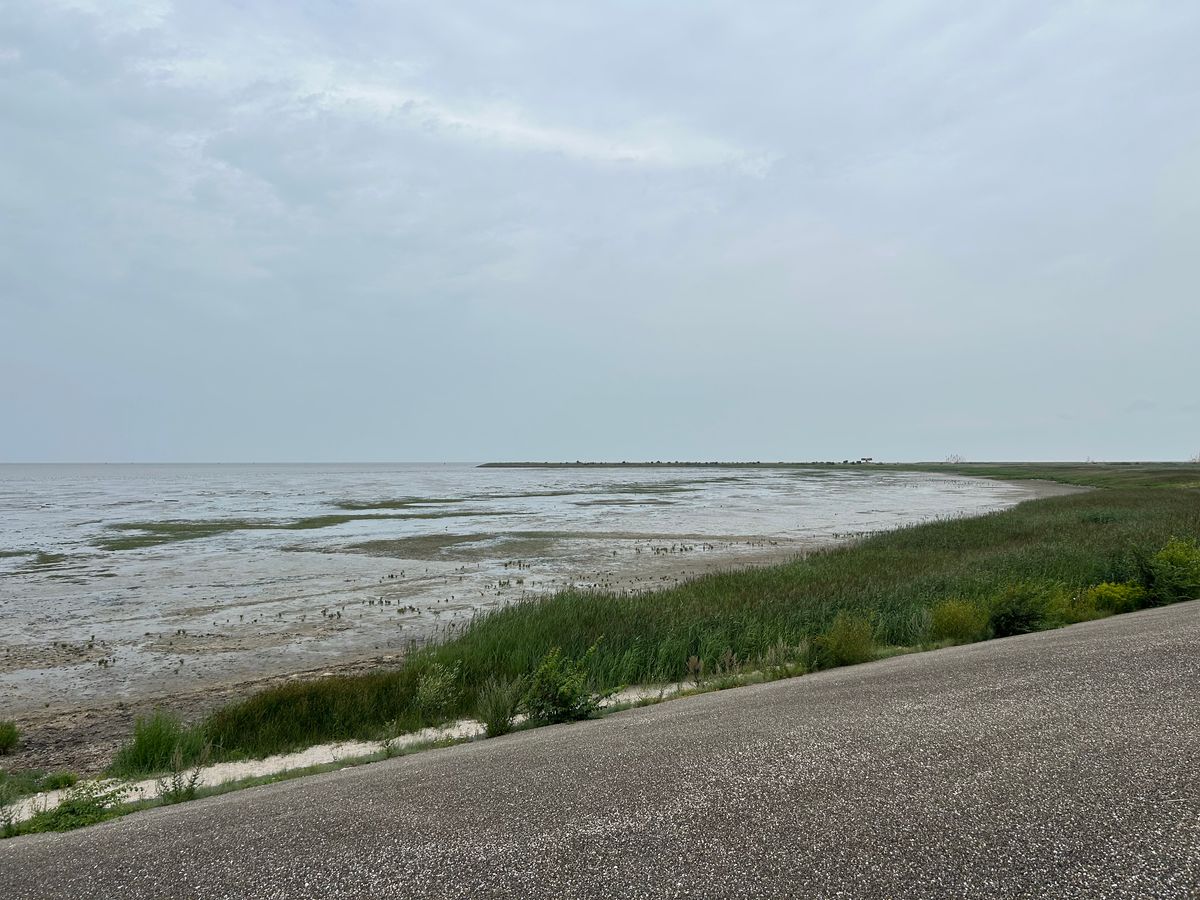 Blog image
