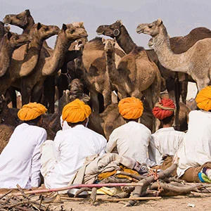 Travel confidently with local experts