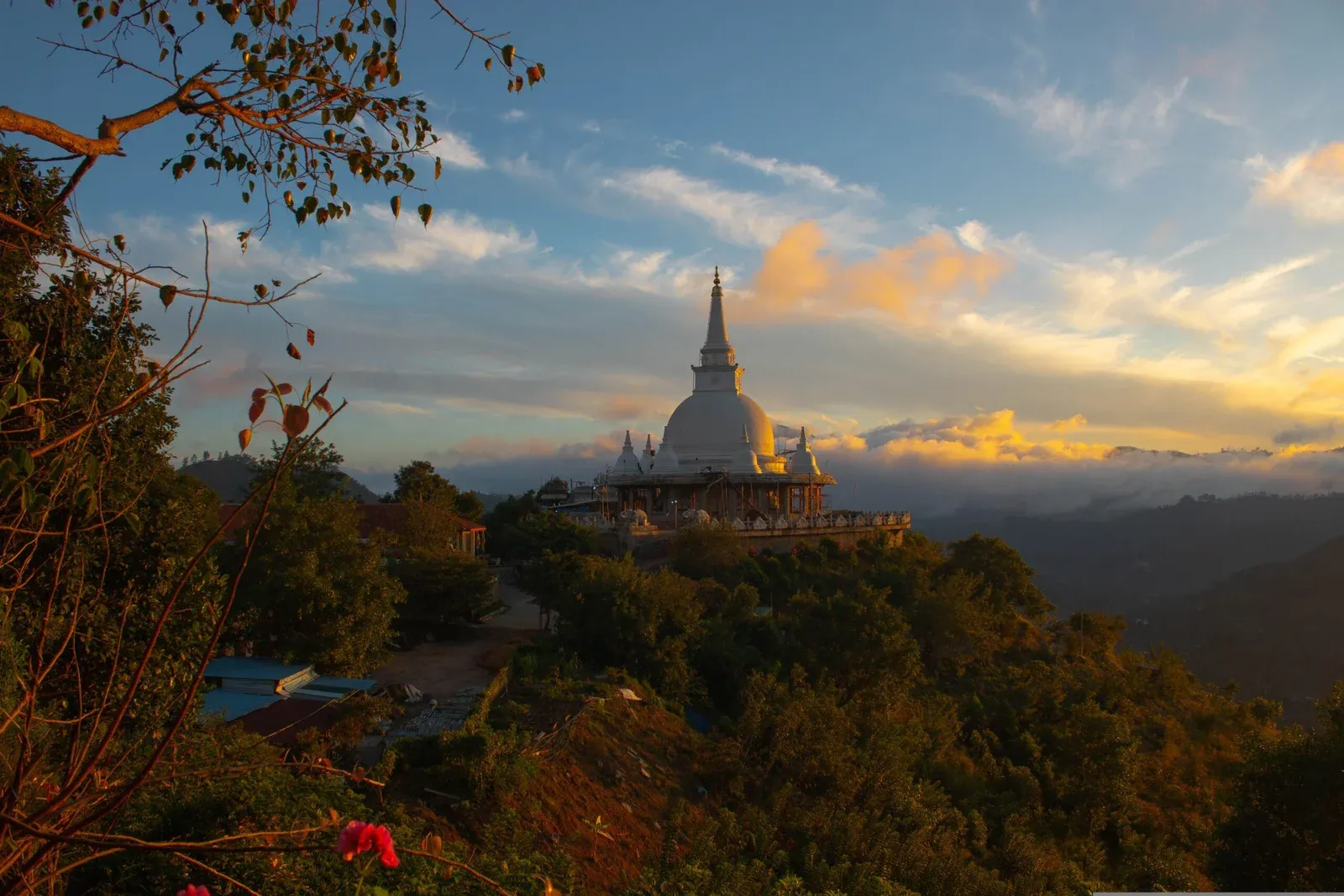 Charming Ceylon