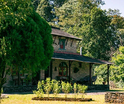 Local Teahouses