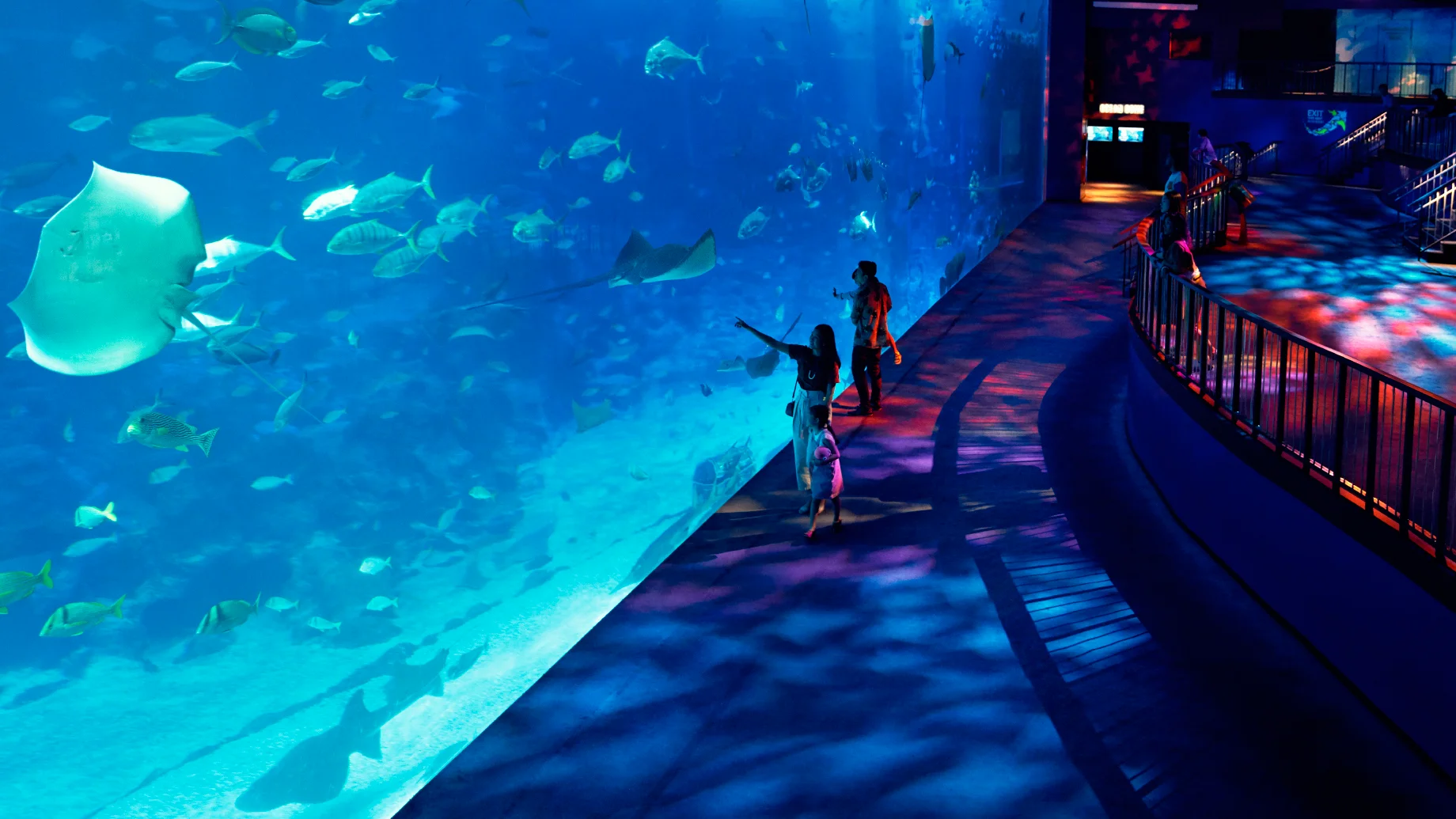 S.E.A. Aquarium