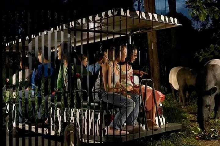 Night Safari Tickets With Transfer
