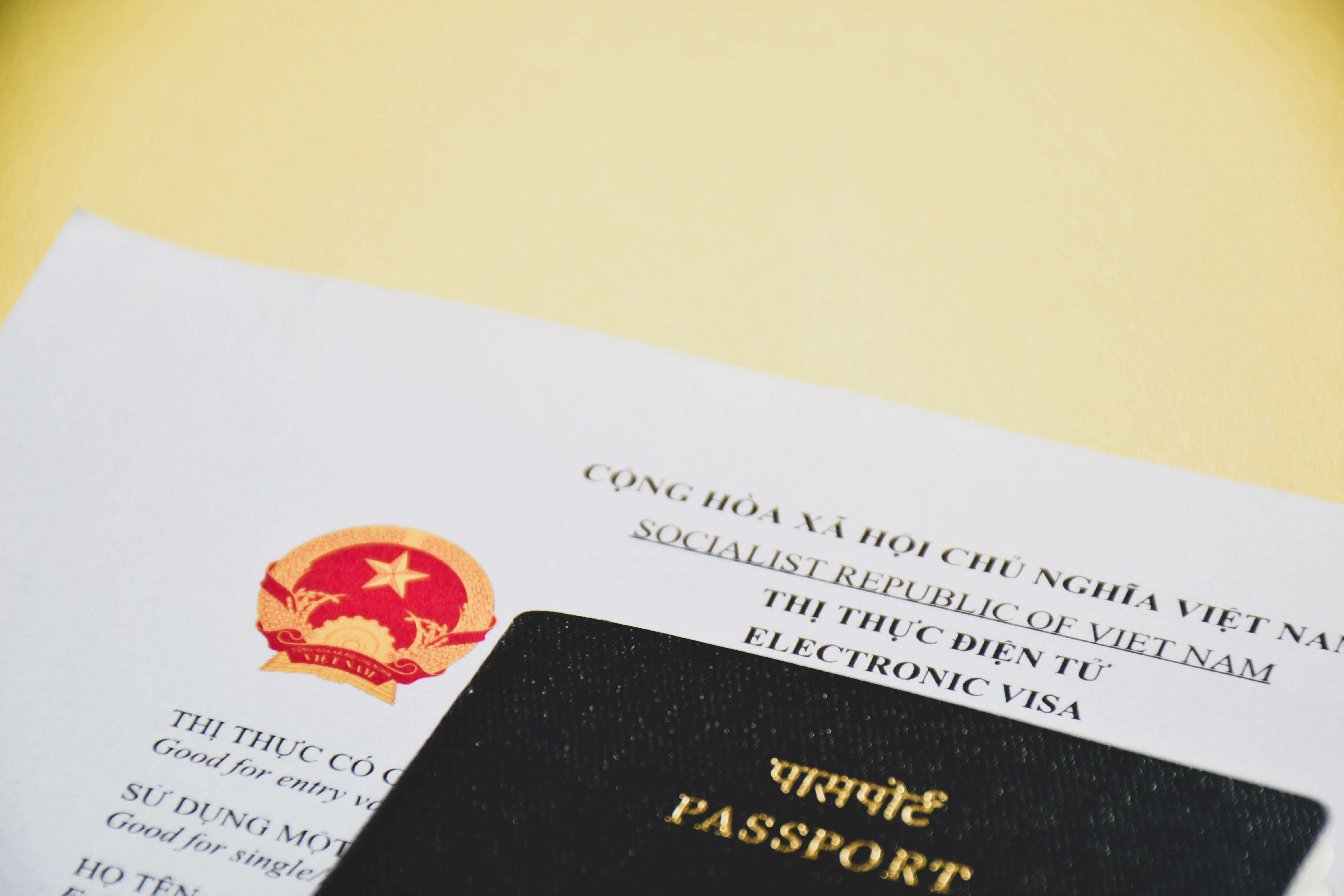 Vietnam E-Visa for Indians