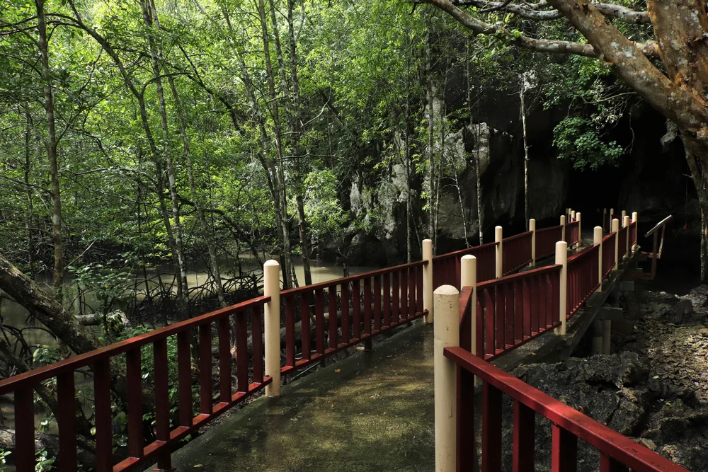 Langkawi: Half-Day Private Kilim River Mangrove Boat Tour