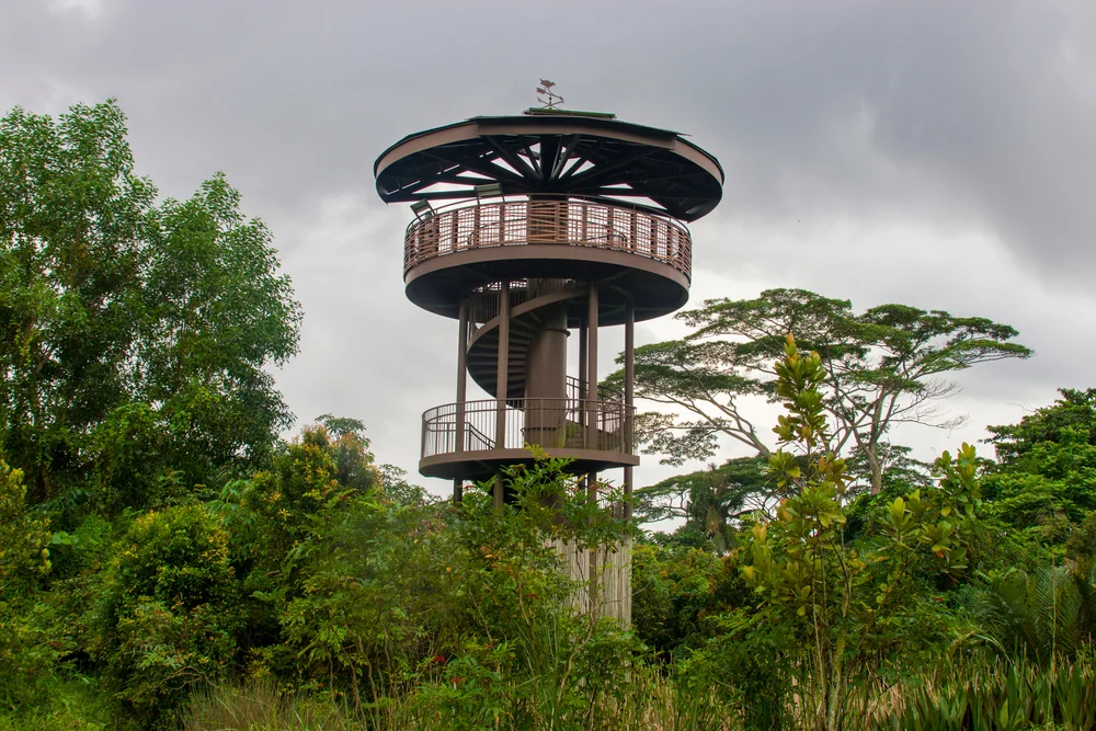 Kranji Marshes