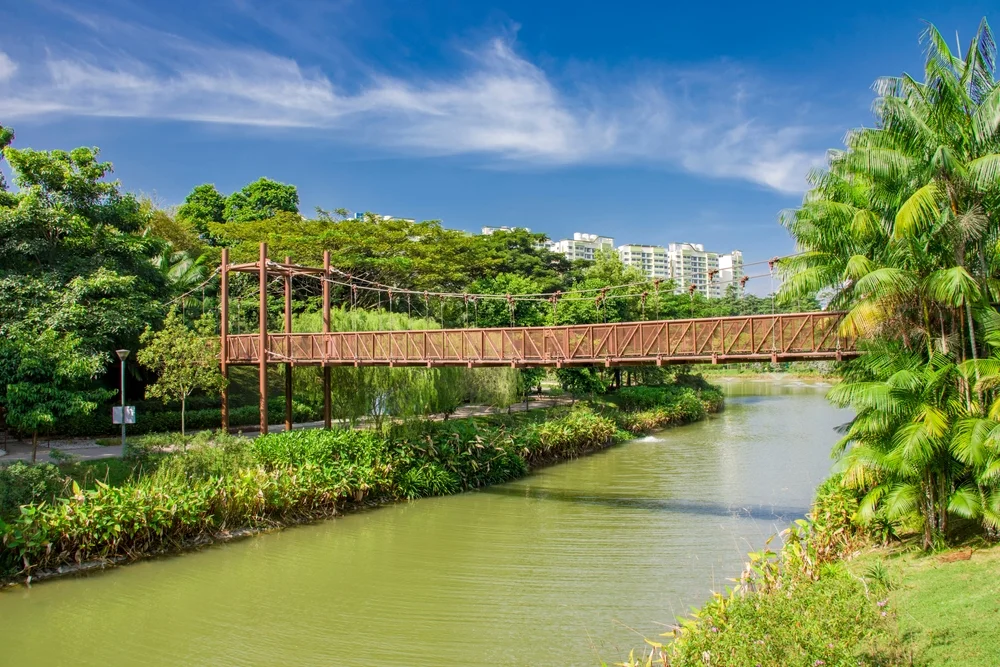 Challenge yourself with outdoor thrills at Mega Adventure Park