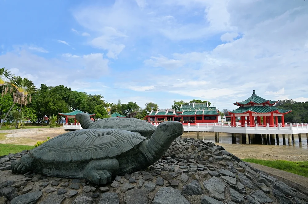 The Live Turtle and Tortoise Museum