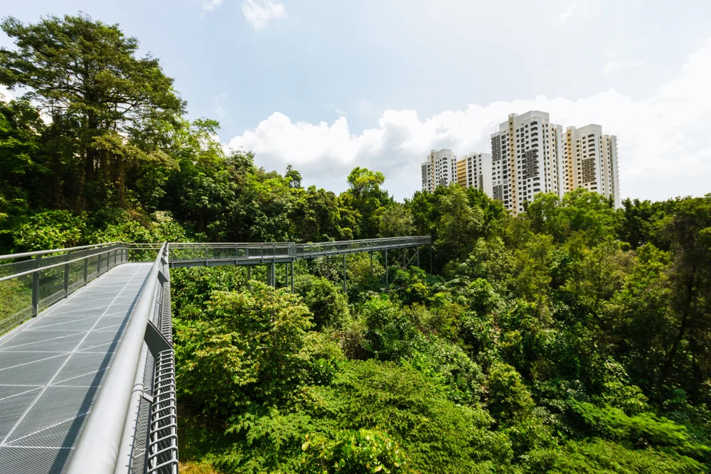 The Southern Ridges