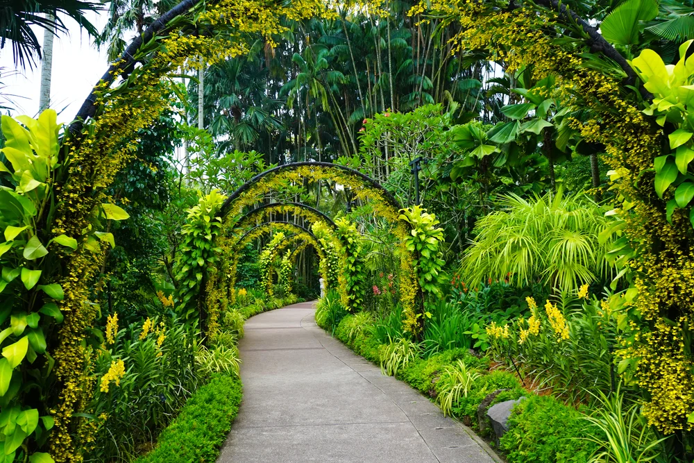 Stroll through the lush greenery of the Botanic Gardens