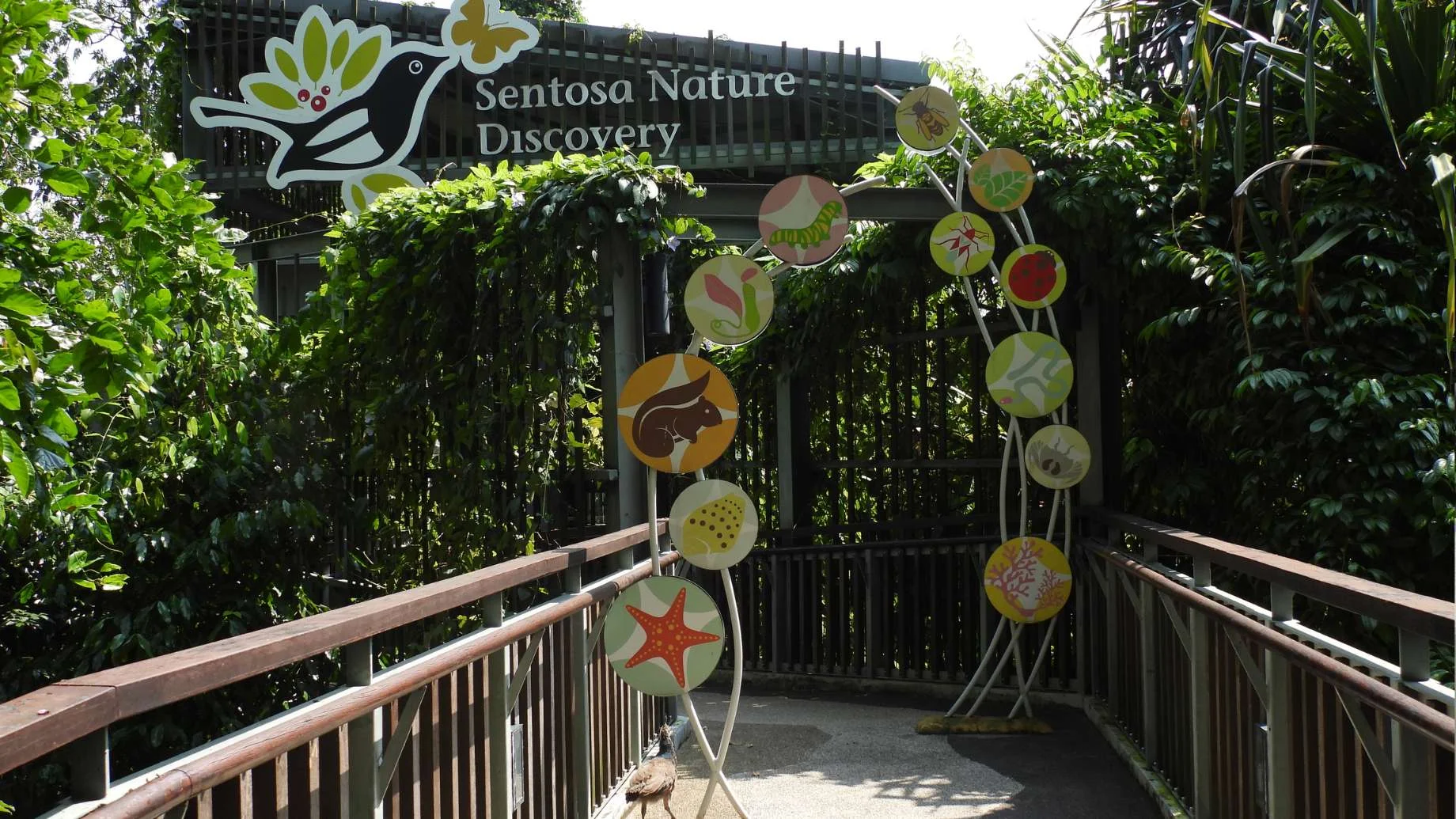 Checkout the Sentosa Nature Discovery