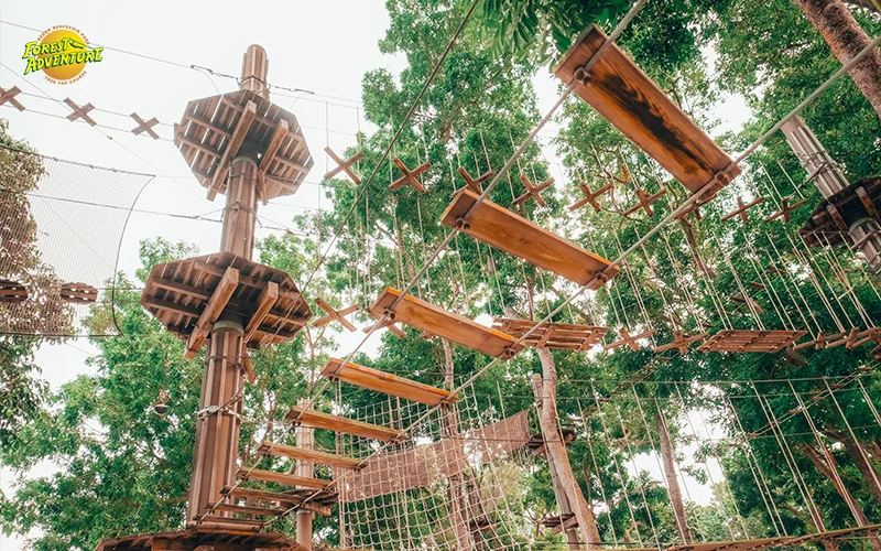 Forest Adventure Obstacle Course