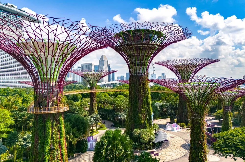 Gardens By The Bay: Wander Through a Floral Wonderland