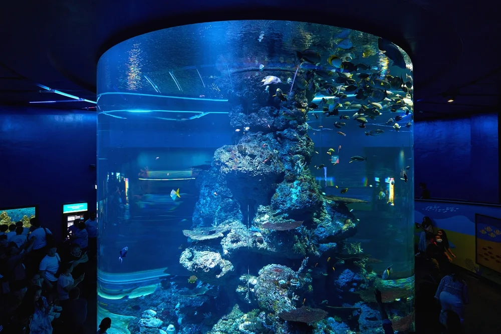 Dive Into Excitement with Scuba Diving at Sentosa