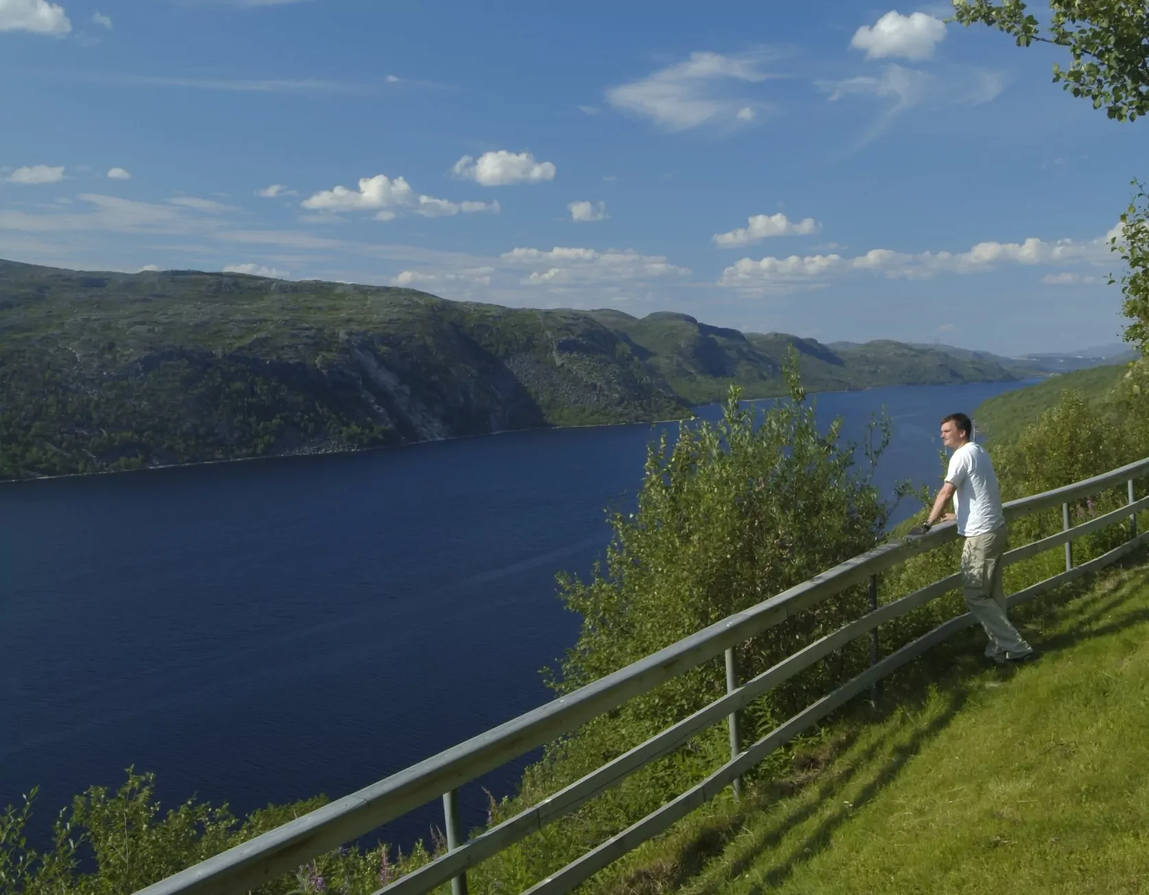 Pasvik Valley Nature Tour