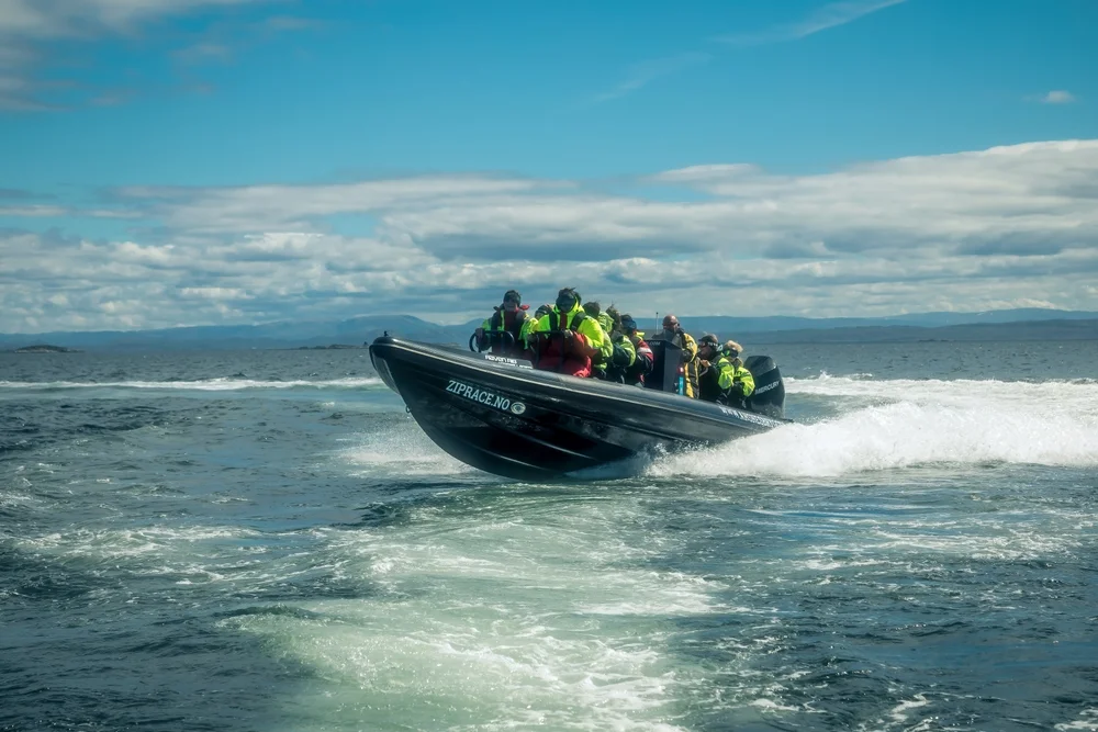 Wildlife Sea Safari by RIB Boat