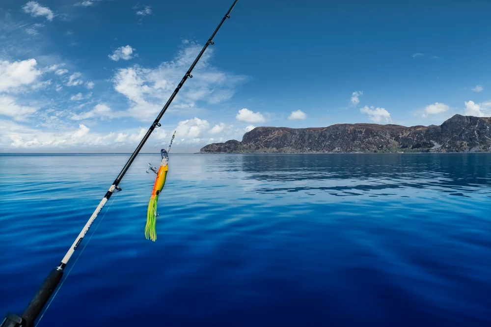 Fishing Trip in Borgundfjord