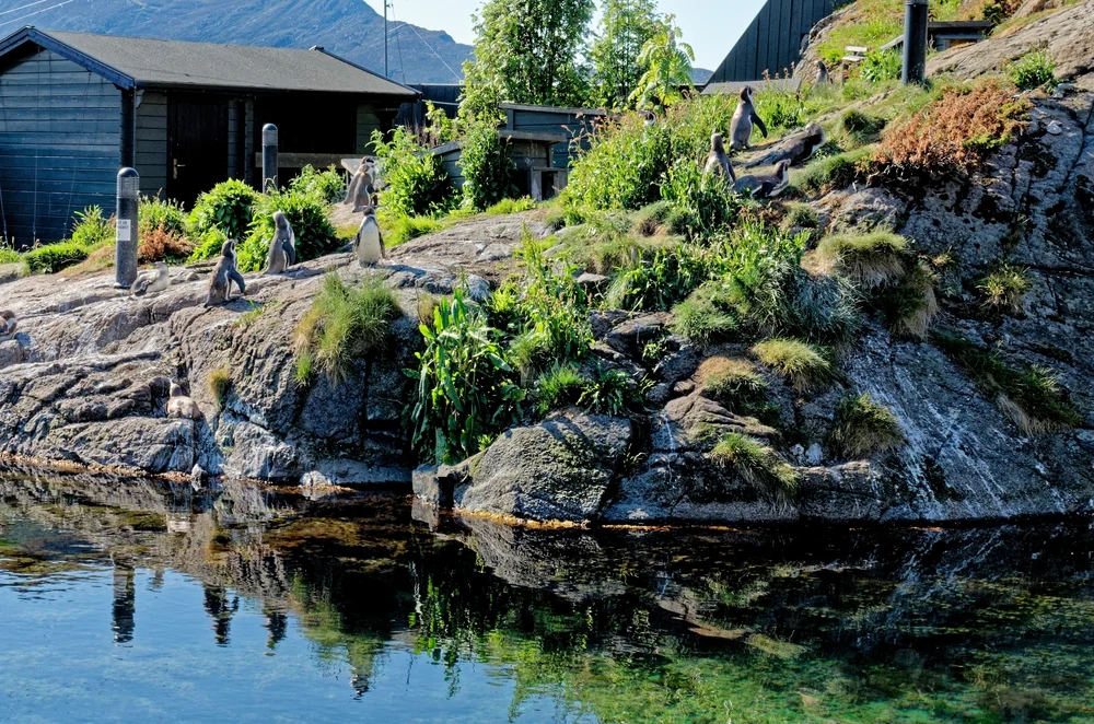 Bergen Aquarium