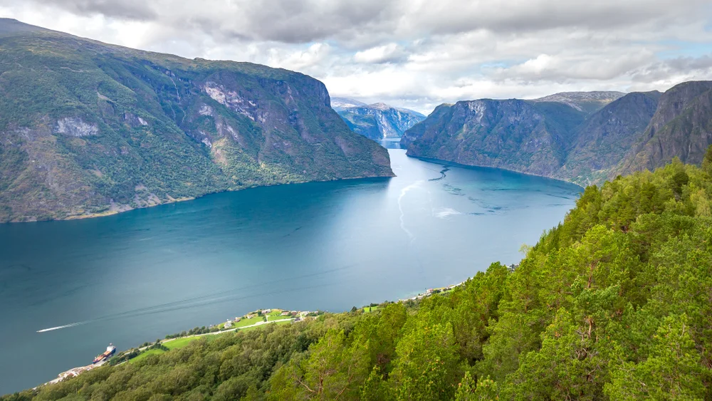 Scenic Fjord Flightseeing