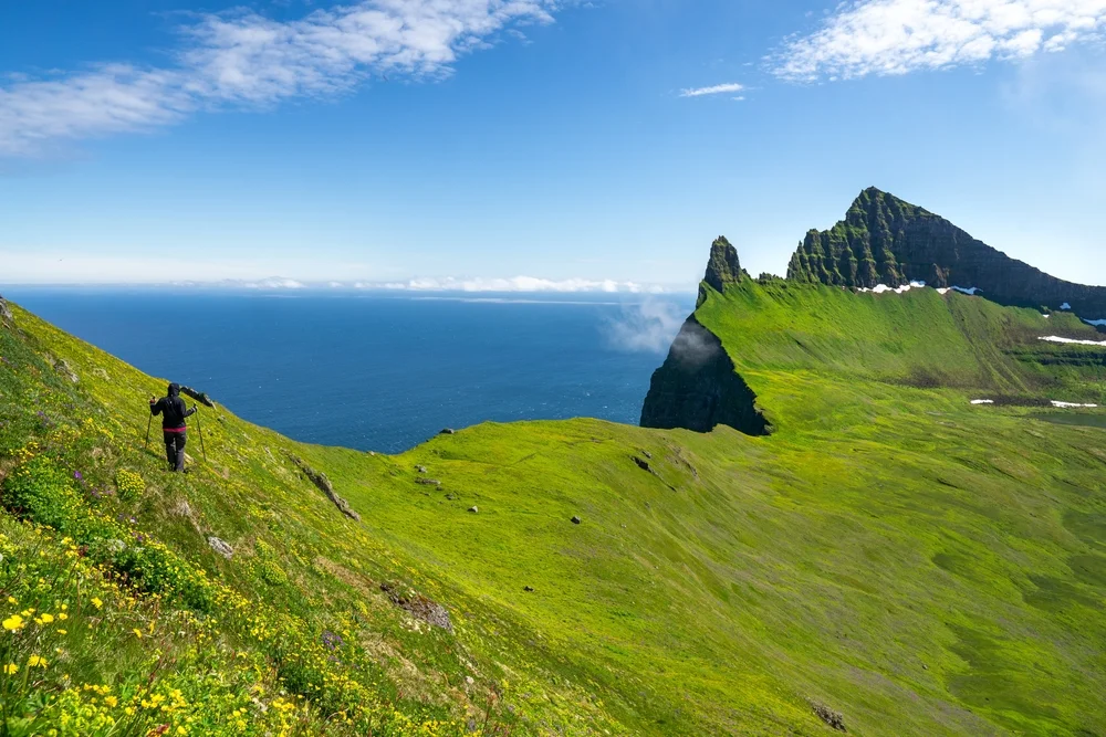 Trek through Hornstrandir Nature Reserve