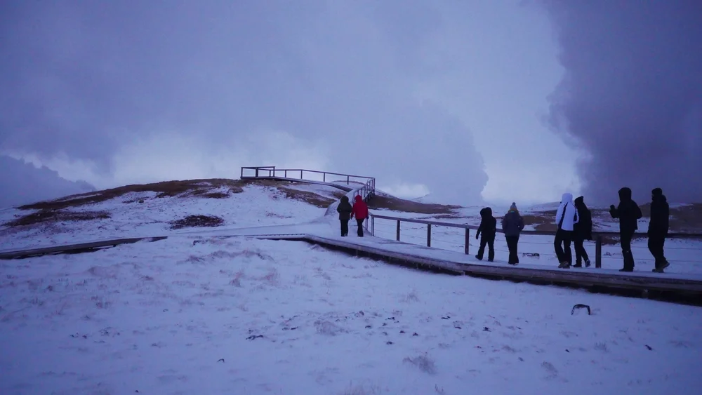 Join a guided walking tour of Reykjavík