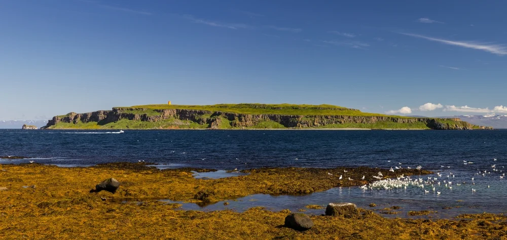 Grímsey
