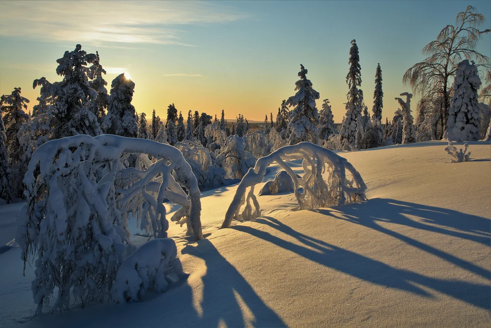 Pyhä-Luosto National Park