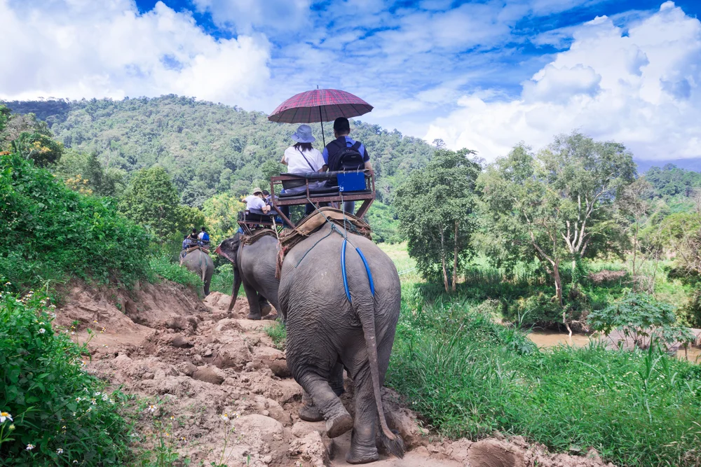 Chiang Mai