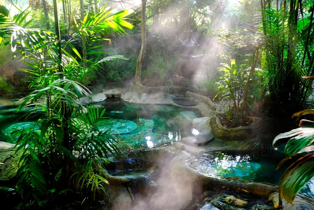 Full Day Krabi Jungle Tour: Hot Spring + Emerald Pool + Elephant Trekking with Lunch- Private Transfers