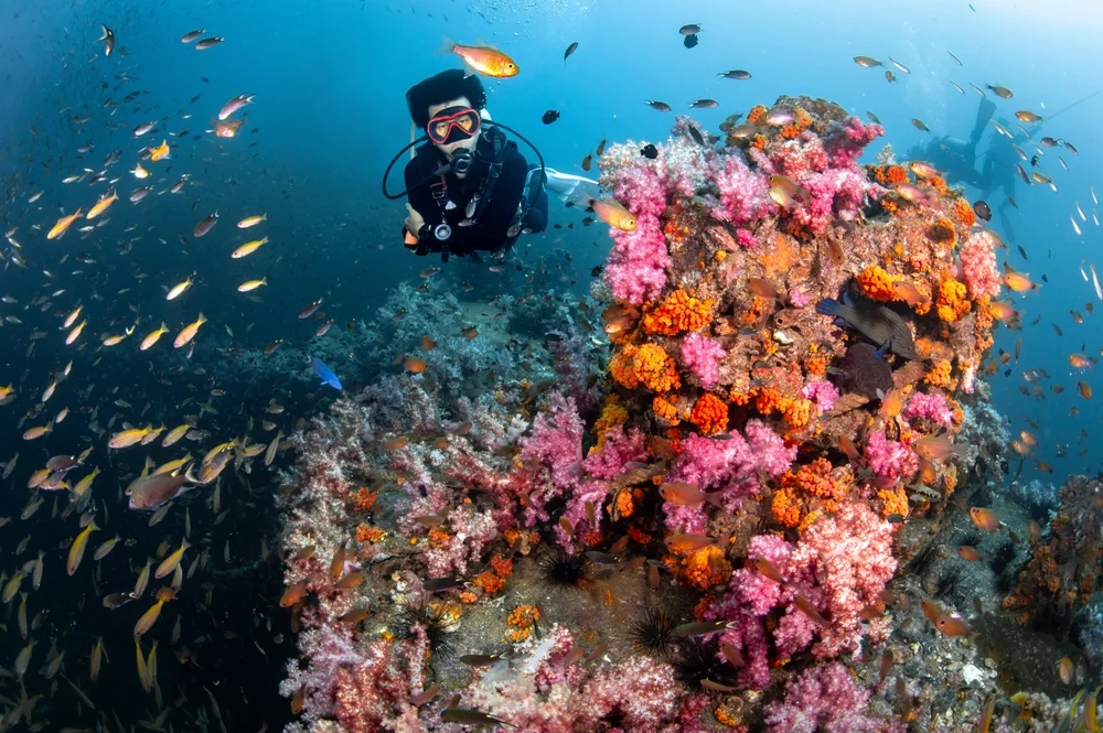 Best Time for Scuba Diving in Thailand