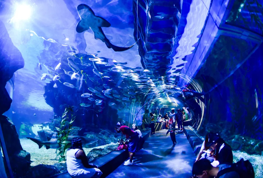 Sea Life Bangkok Ocean World 