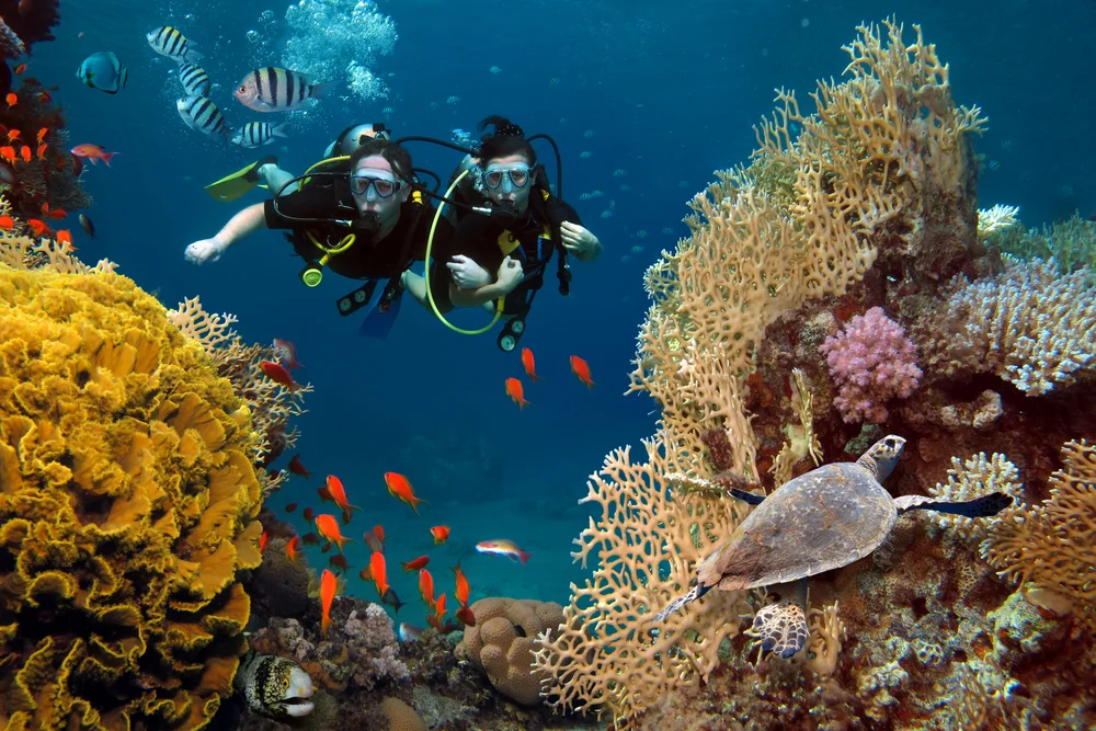 Menjangan Island