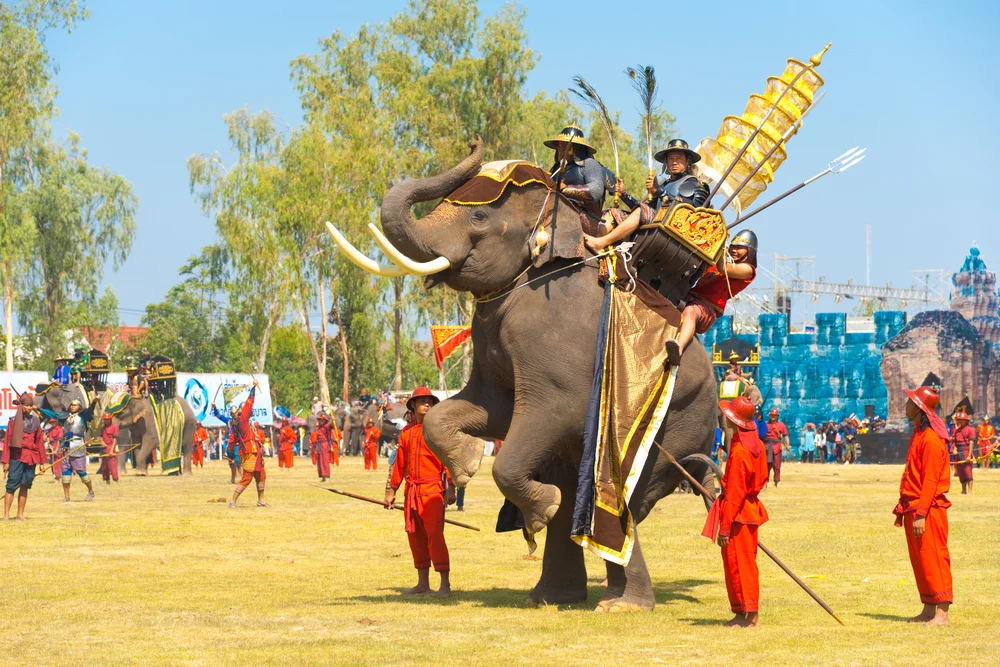 Surin Elephant Round-Up