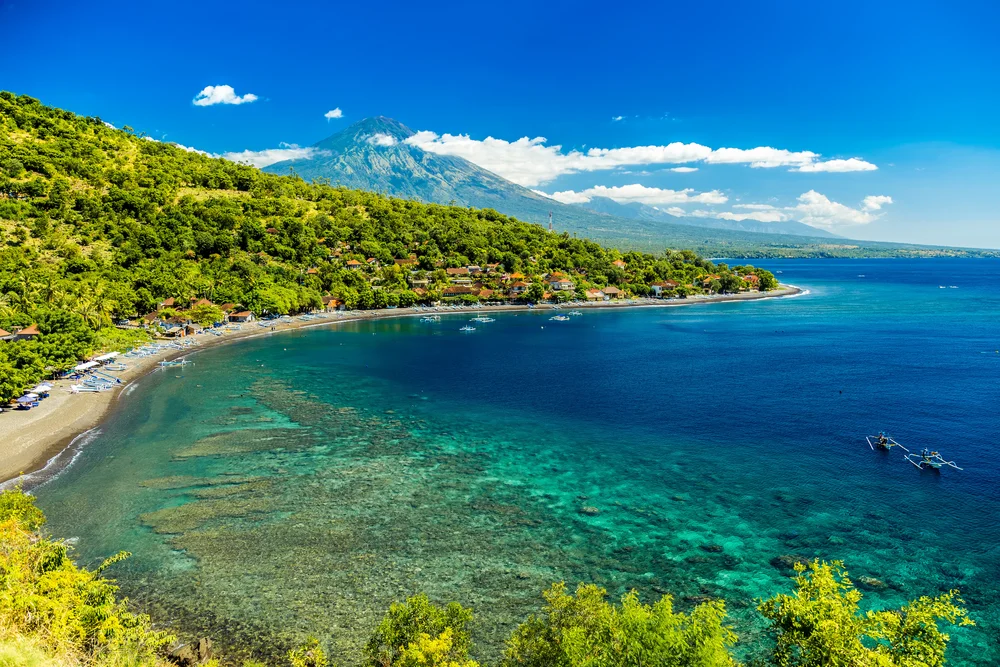Amed