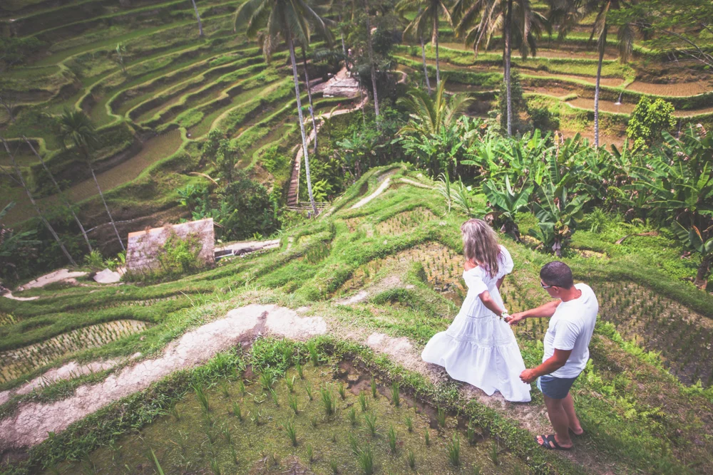 Stroll Through Ubud's Rice Terraces