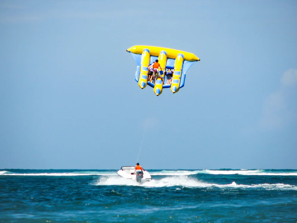 Flying fish 