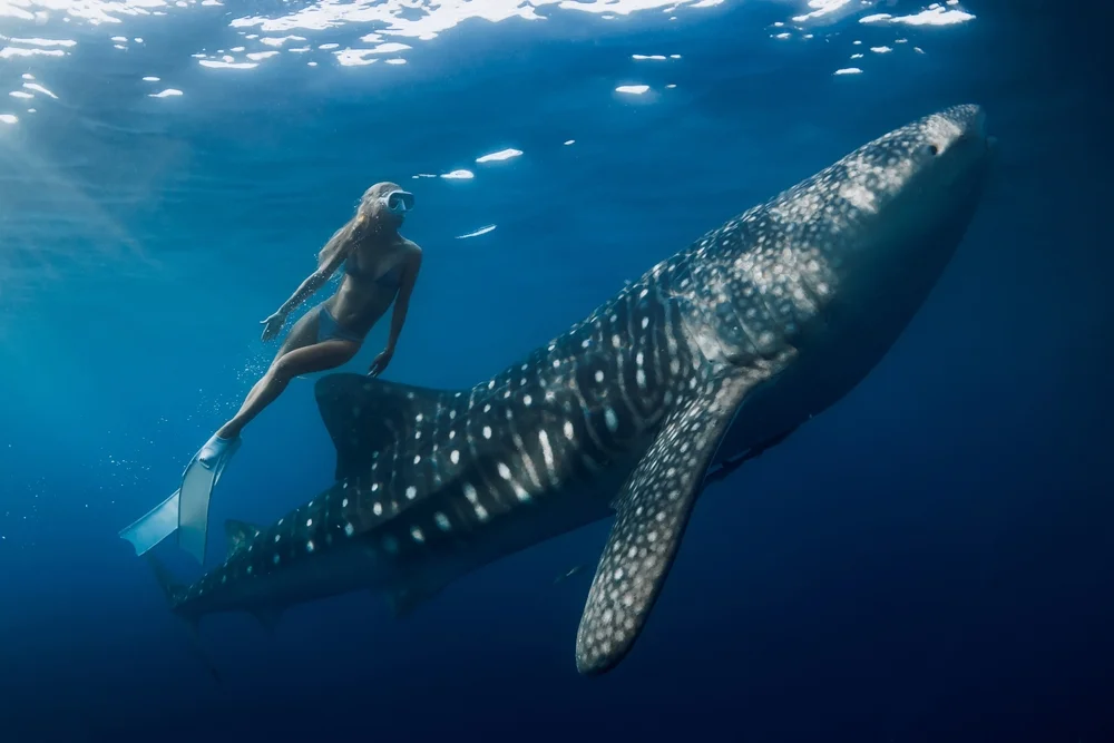 Freediving