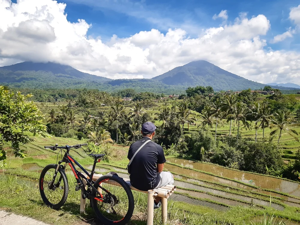 Mountain Cycling 
