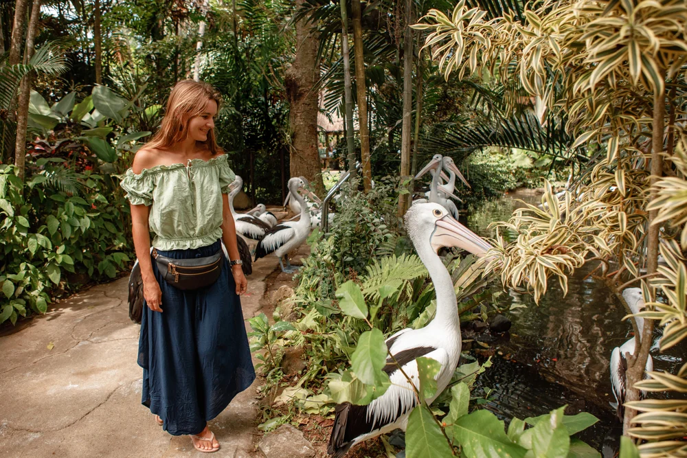 The Bali Bird Park