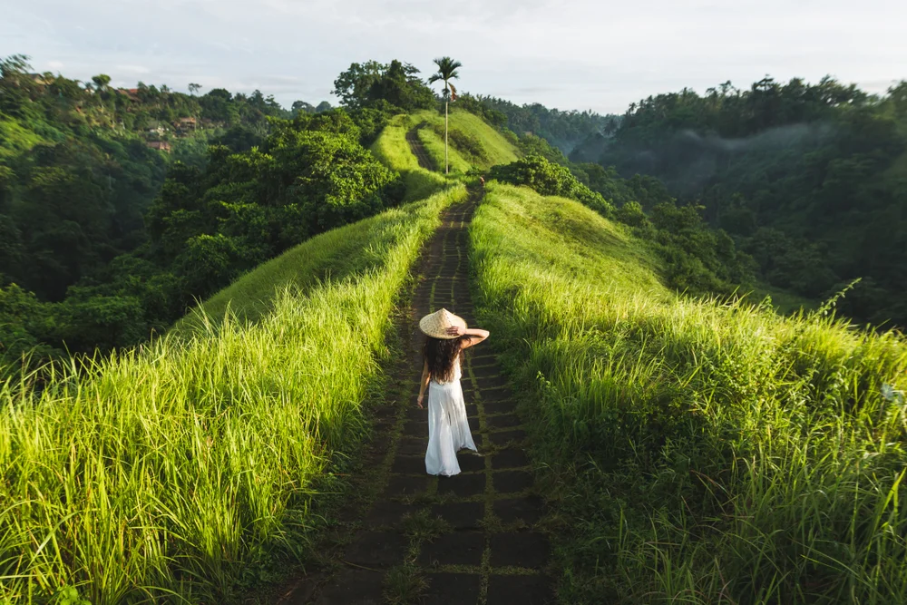 Enjoy the Campuhan Ridge Walk