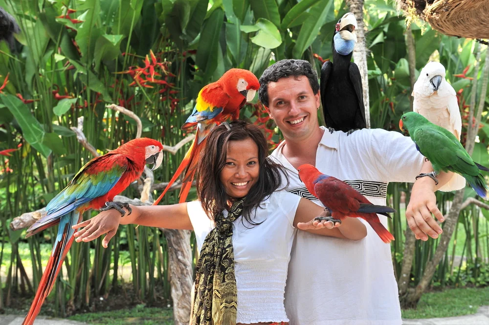 Bali Bird Park and Reptile Park
