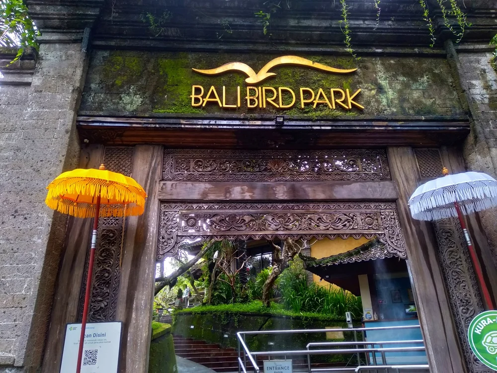 Visit the Bali Bird Park