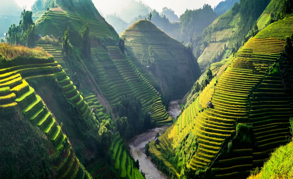Trek the terraced rice fields of Sapa