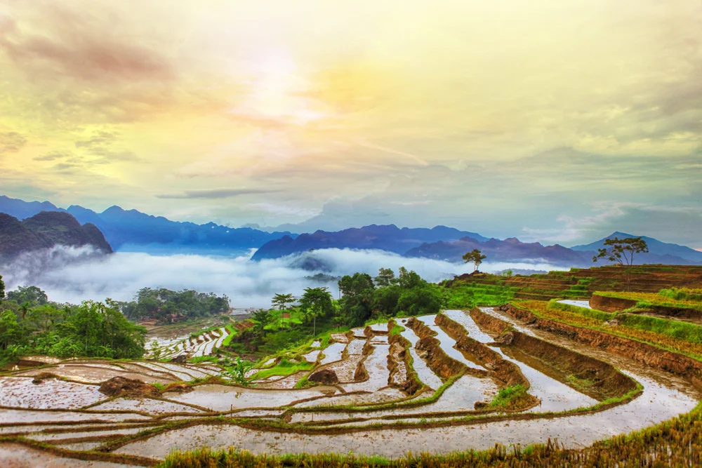 Pu Luong Nature Reserve