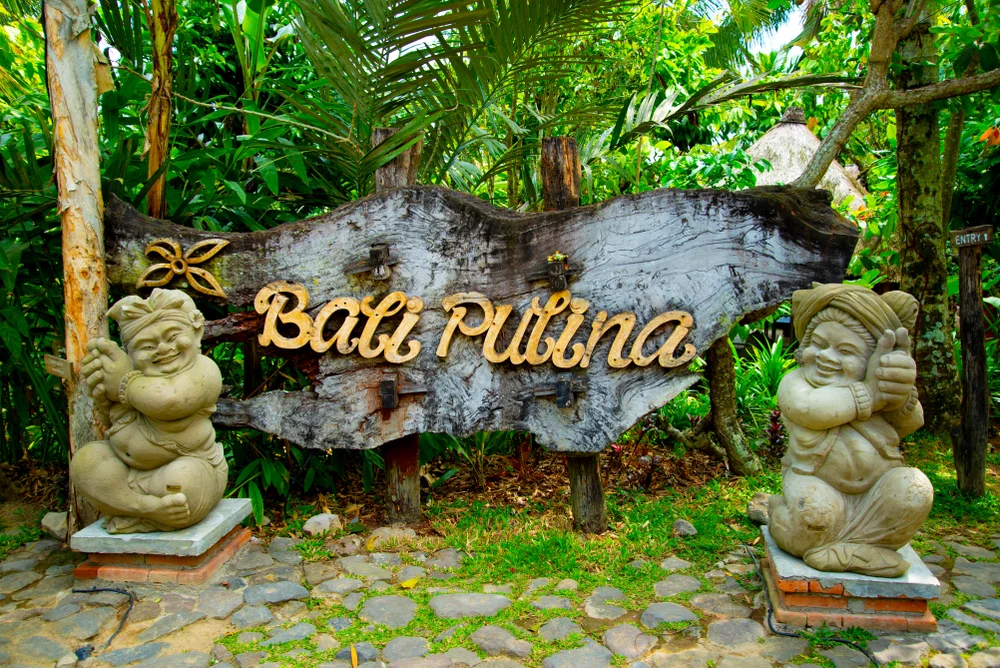 Visit the Coffee Plantation at Bali Pulina Agro Tourism
